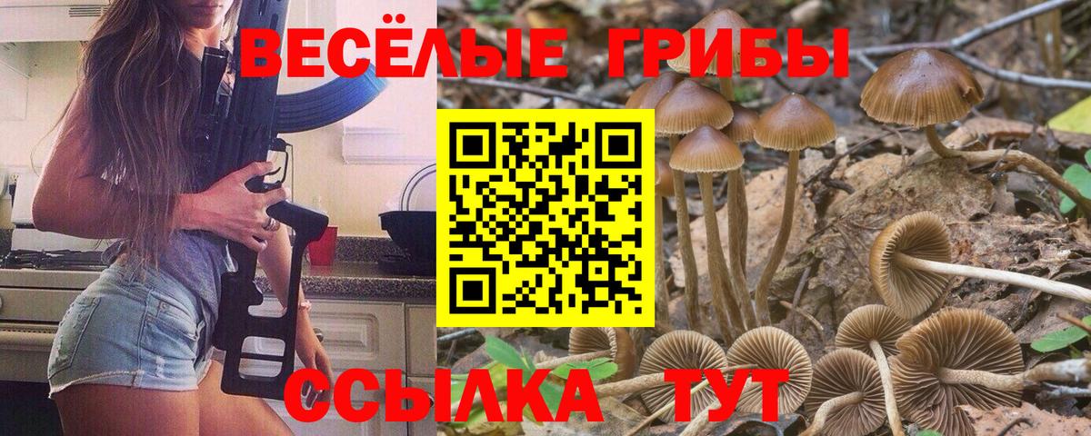 Псилоцибиновые грибы MAGIC MUSHROOMS  Вход с VPN  Южно-Сахалинск 